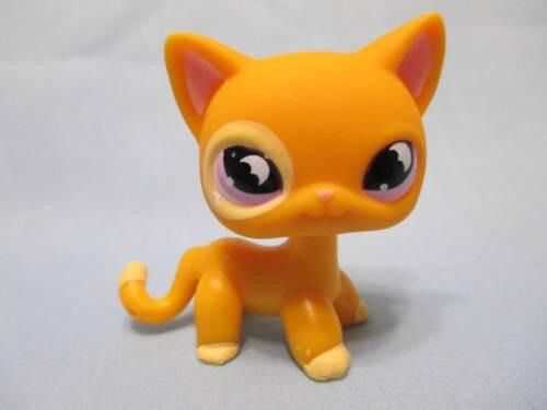 lps shorthair cat 855
