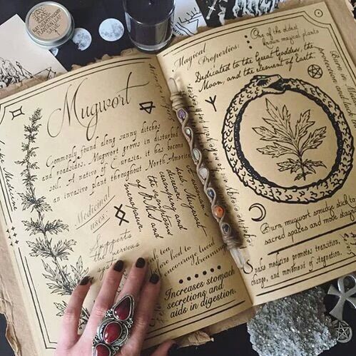 Blog post #12 Grimoire Basics | Pagans & Witches Amino