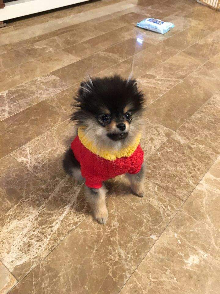 Tae twitteo dos fotos de Yeontan 😻💛💗 | Taehyung Oficial 🐯 Amino