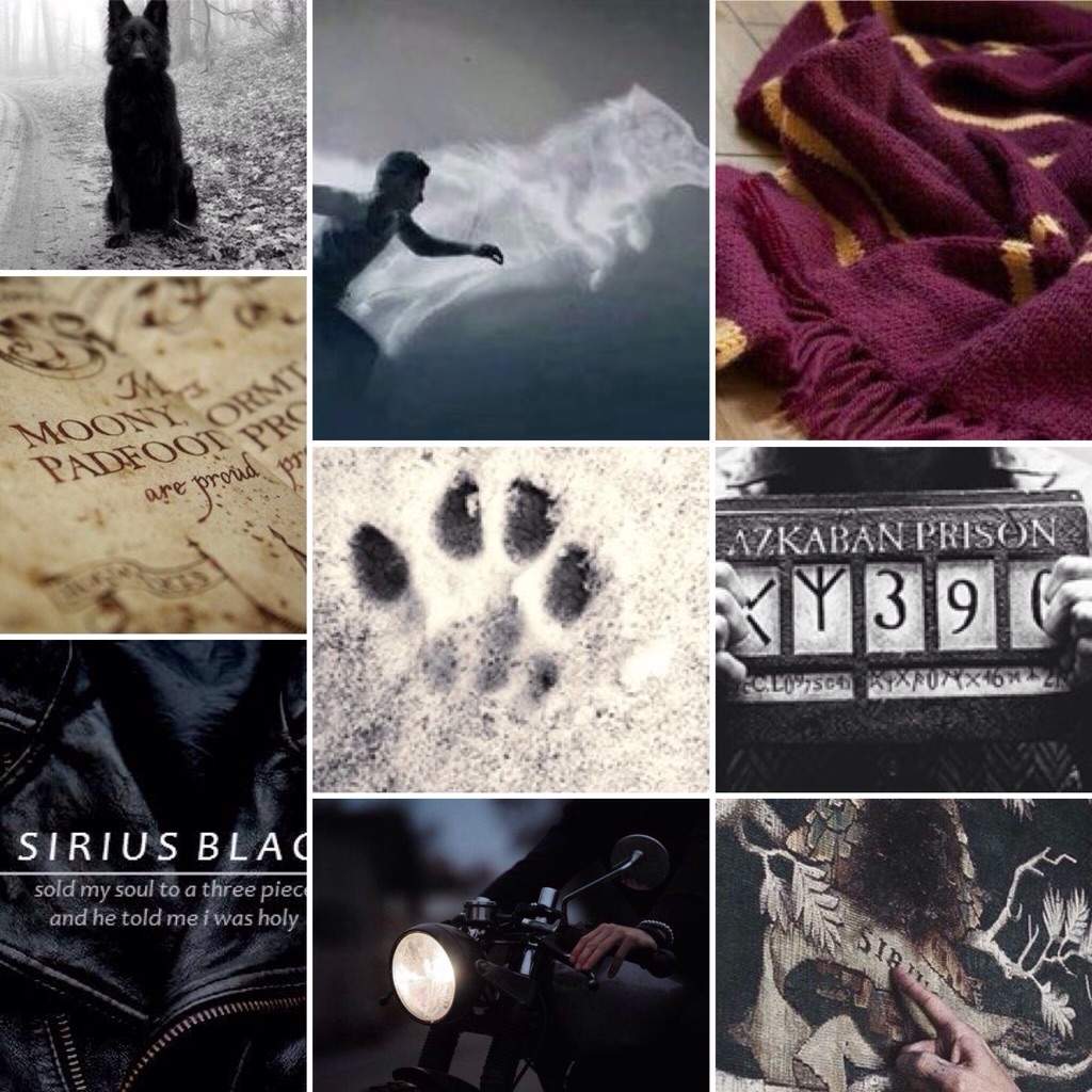 Sirius Black aesthetic | Harry Potter Amino