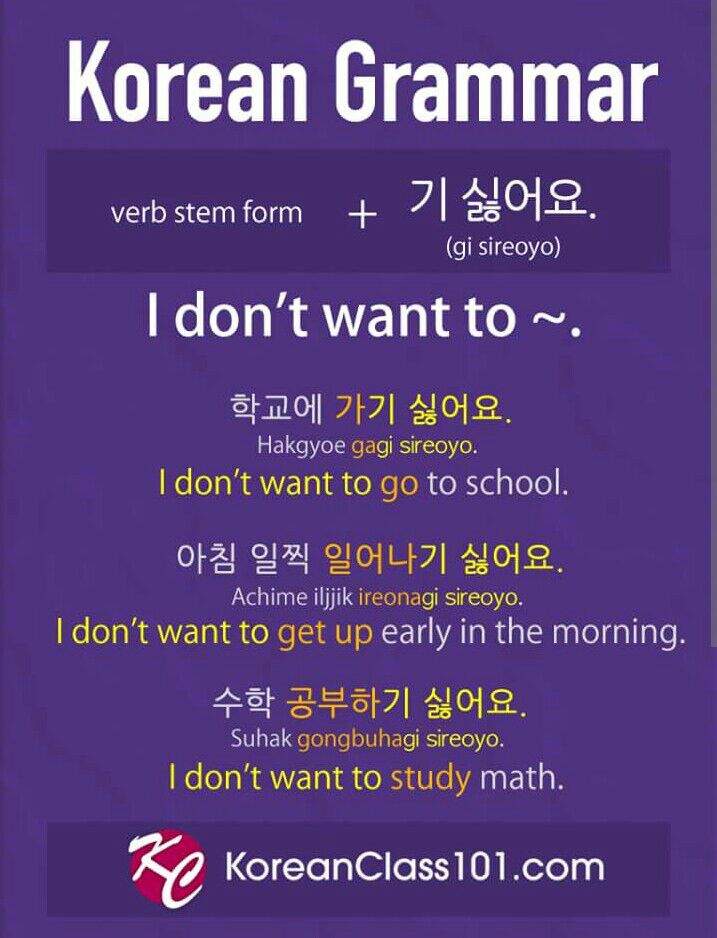 Must-Know Korean Grammar For Beginners ^^ | Korean School Amino