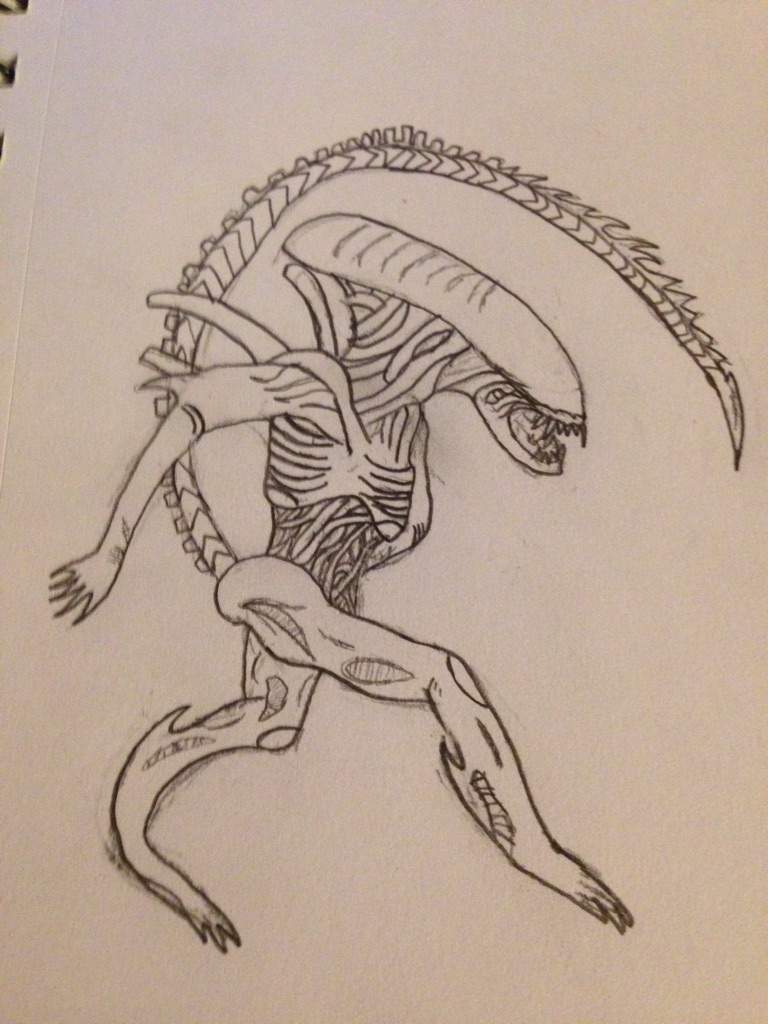 My First Decent Xenomorph Drawing Alien Versus Predator Universe