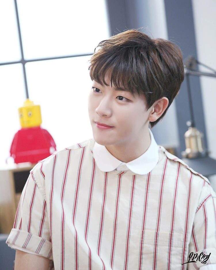 🌷Jibeom🌷 | Wiki | Golden Child! (골든차일드) Amino