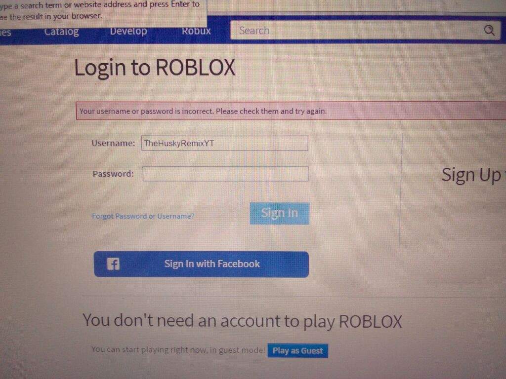 My Roblox Account Wont Sign In