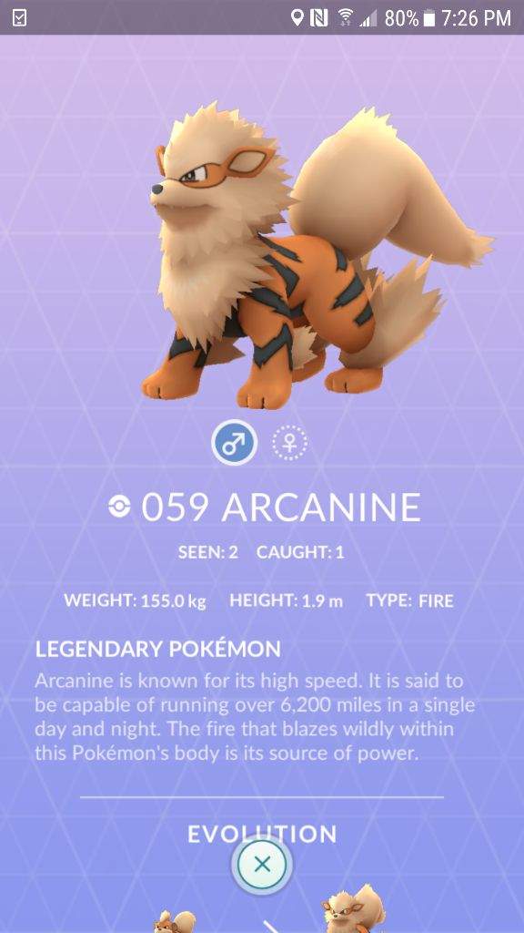 Apparently Arcanine Is A Legendary Pokemon Go Amino