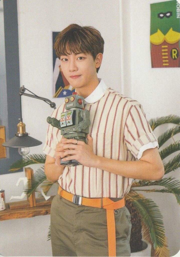🌷Jibeom🌷 | Wiki | Golden Child! (골든차일드) Amino