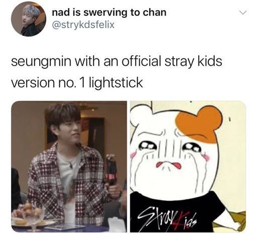 Stray Kids Memes | 20+ Kpop Fans Amino