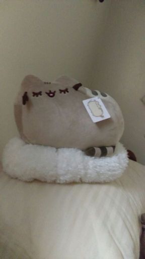 potato pusheen