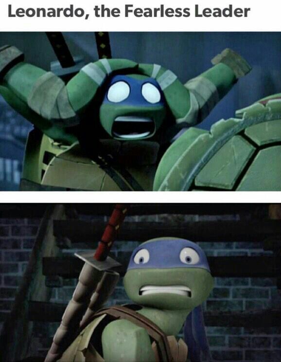 Some funny memes i found on this amino XD | TMNT HQ Amino