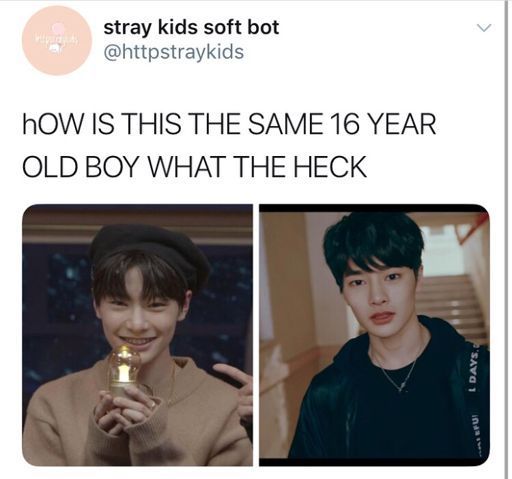 Stray Kids Memes | 20+ Kpop Fans Amino