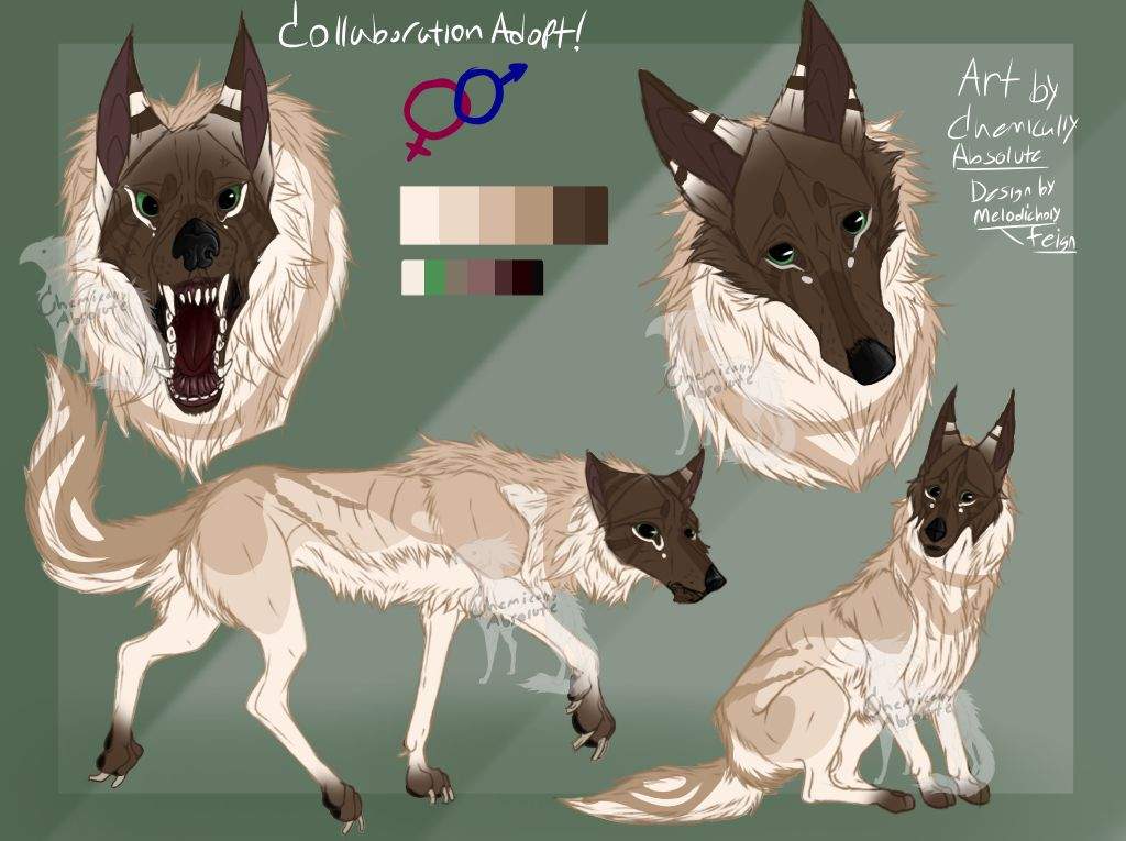 collaboration-edition-beta-wolf-adopt-closed-wolf-pack-amino-amino