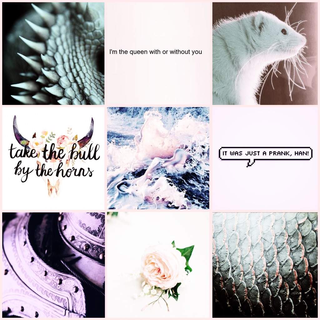 Dragons | Aesthetic Universe Amino