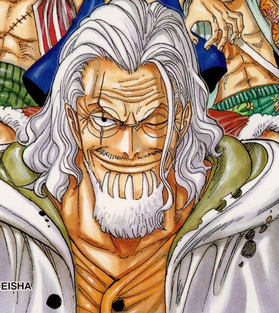 Best Hair in One Piece (Long Hair) | One Piece Amino