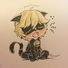 amino-emestvz09-chat noir-9391aaf0