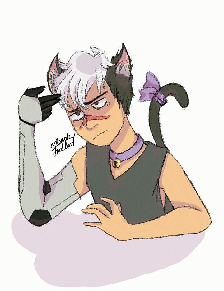 shiro cat ver