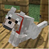Lobo (Canis Lupus) | Wiki | Minecraft Amino • Crafters Amino