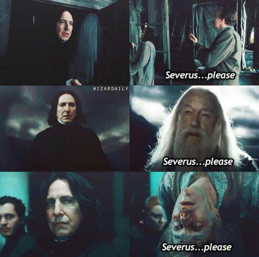 Severus...please | Harry Potter Amino