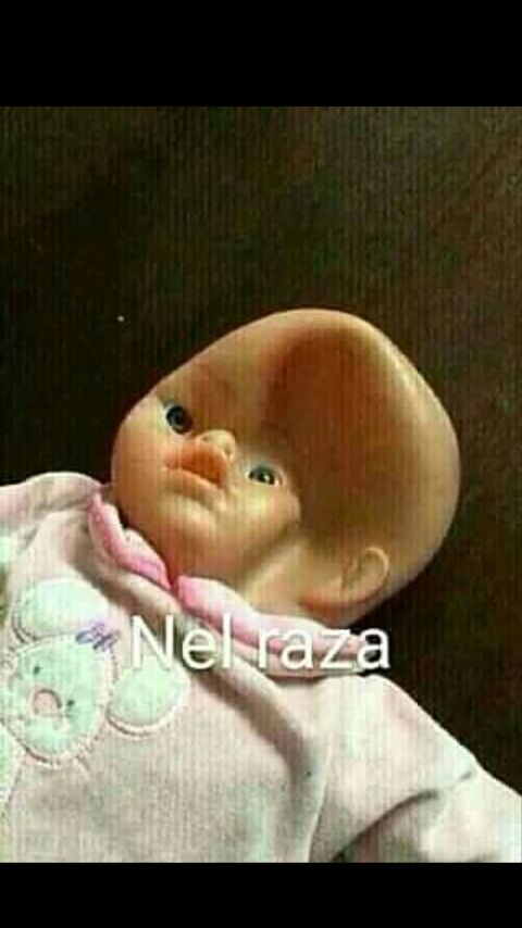 Coleccion De Bebes Mecos 2 V Meme Amino Coleccion De Bebes Mecos 2 V Meme Amino