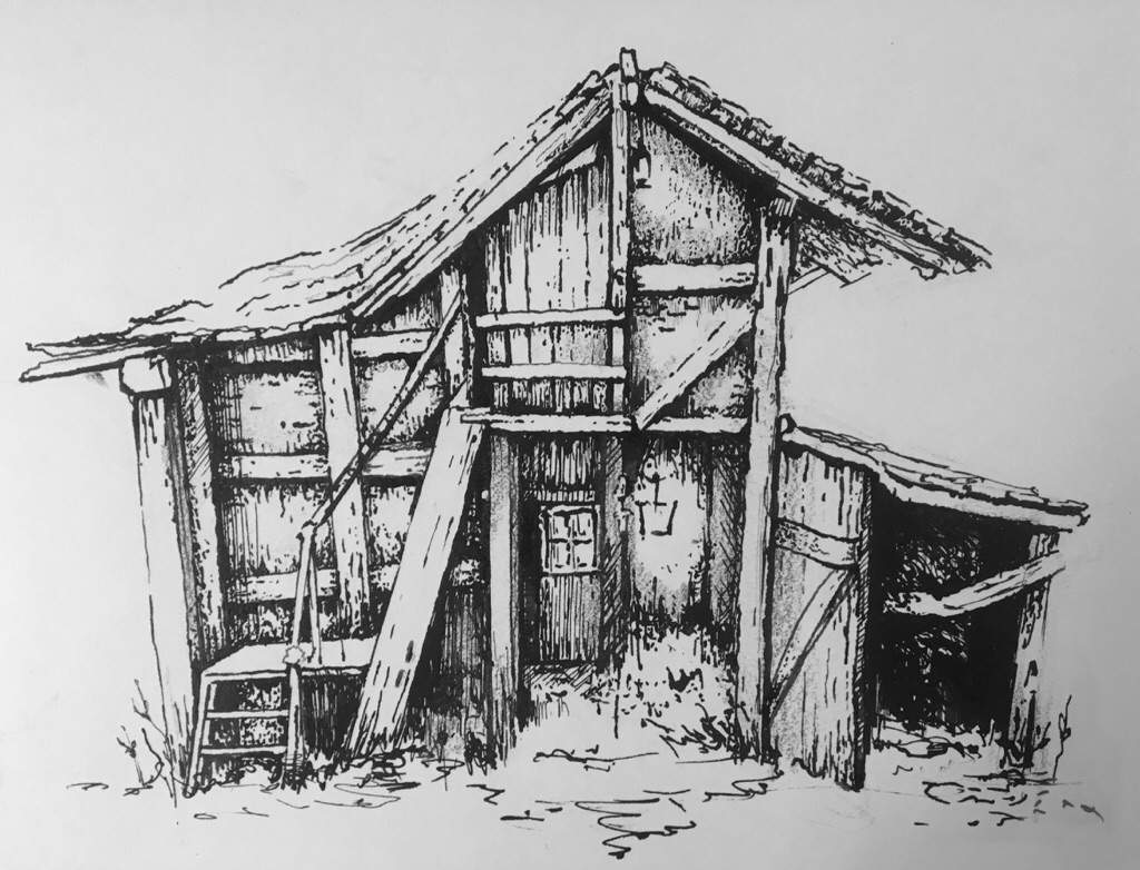 Old Shack in Belgium (Pen & Ink) Drawing Amino