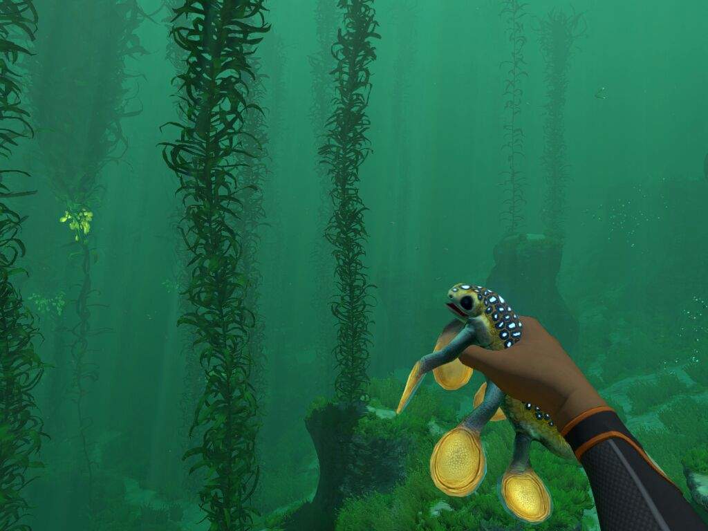 Hoverfish Wiki Subnautica💧 Amino