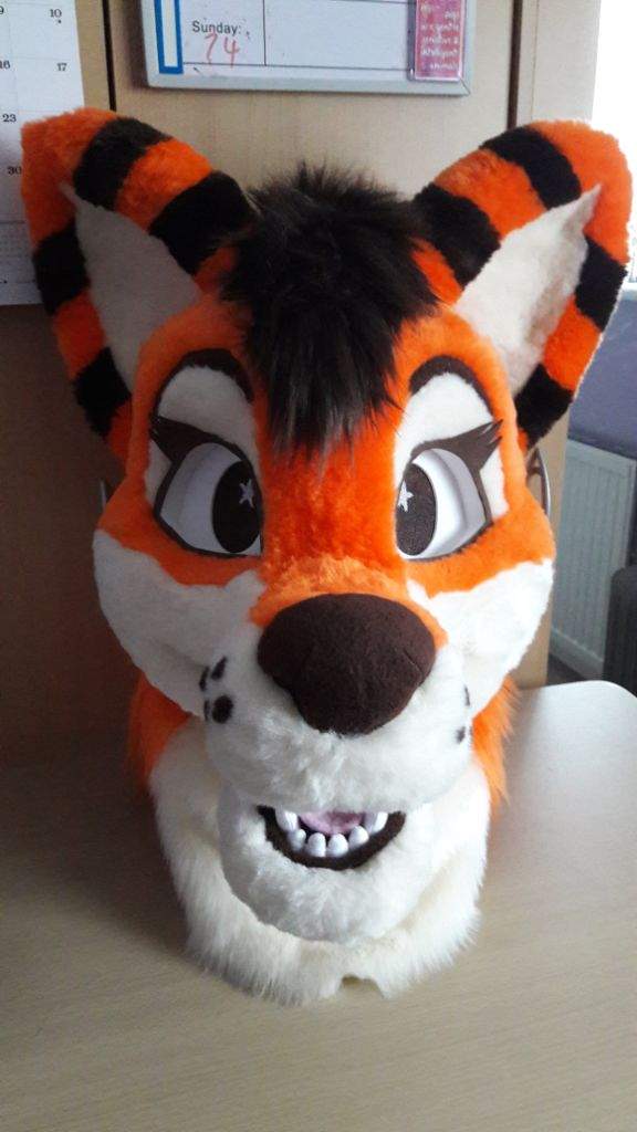 The making of Hoshi (fursuit head) | Wiki | Furry Amino