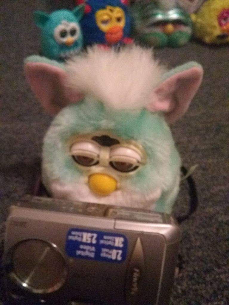 May May Wiki Furby Amino