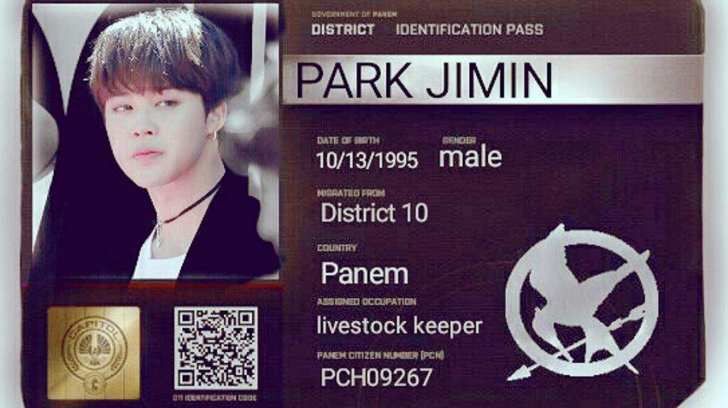 BTS in the Hunger Games [Aesthetic AU] ARMY's Amino