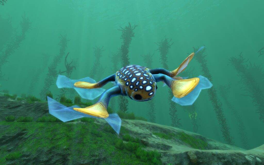 Hoverfish | Wiki | Subnautica💧 Amino