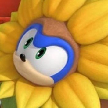 Sonic In A Sunflower Field | Sonic The Hedgehog! Amino