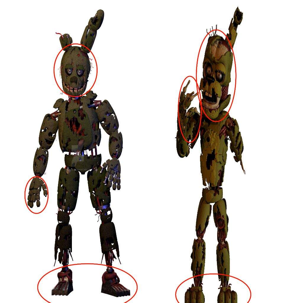 Springtrap Endoskeleton фото в формате jpeg, фотографии опубликовал ...