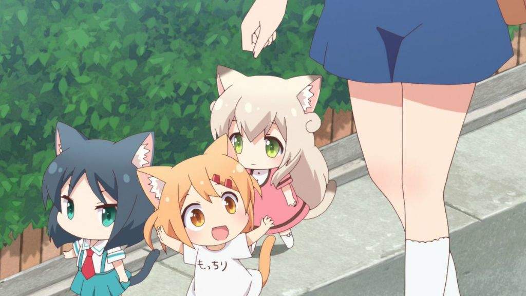 Nyanko days Wiki Anime Amino