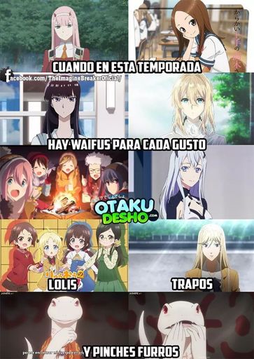 Waifus para escoger | ⭐Anime Master 2.0⭐ Amino