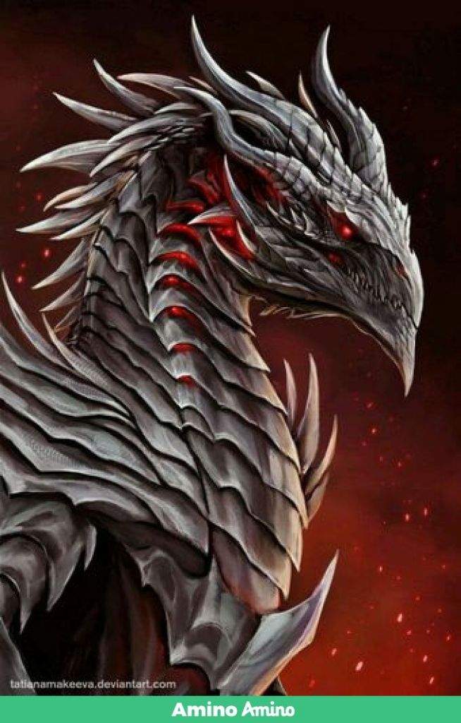 Meu pet | Wiki | ★ Otaku Zone ★ Amino