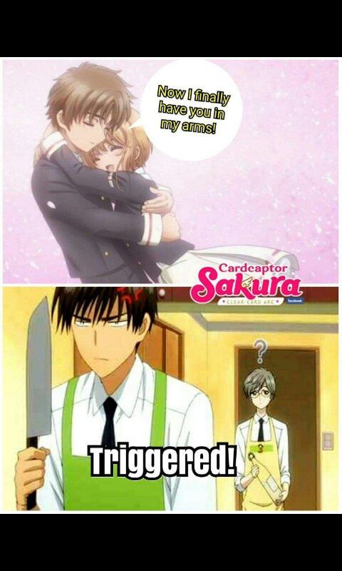 Memes 2 | •Sakura Card Captor• Amino