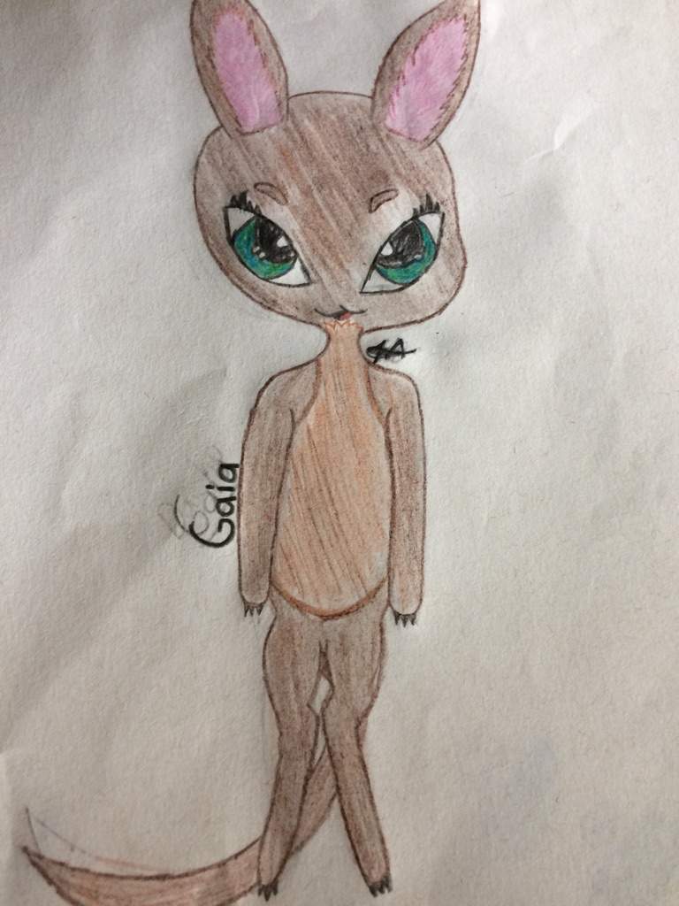 Gaia the Kangaroo | Miraculous Amino