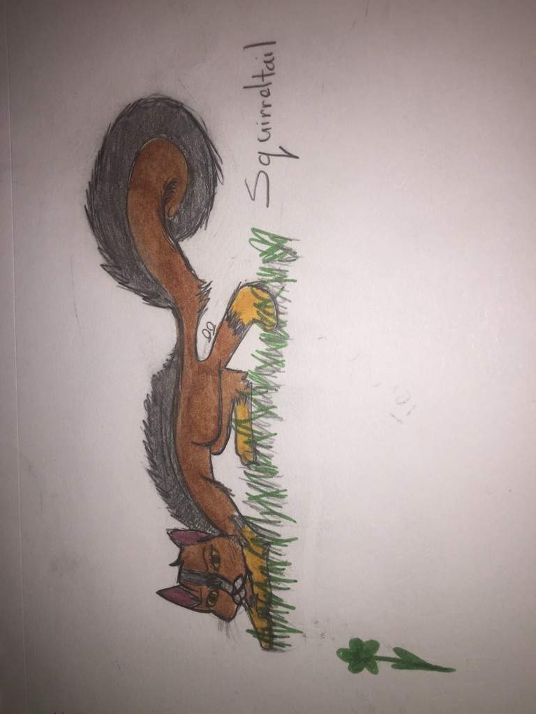 Antiwolf Warrior Cats Amino Amino - old warrior cats forest territory roblox