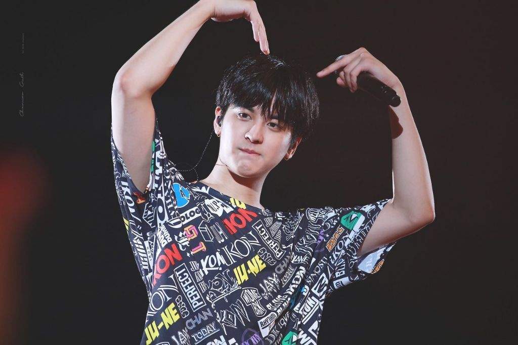 Dear Chanwoo From The Bottom Of My Heart Ikon Amino