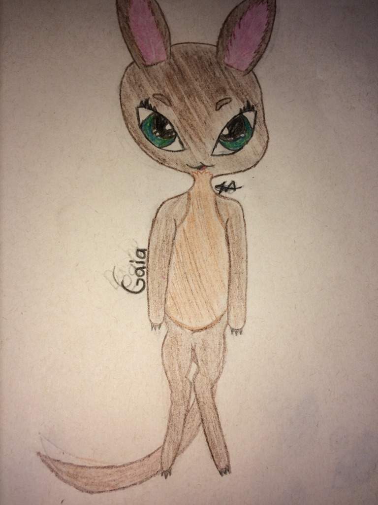 Gaia the Kangaroo | Miraculous Amino