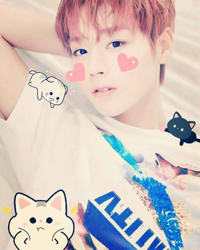 Jihoon Cute  Soft Edits  Wanna One  Amino