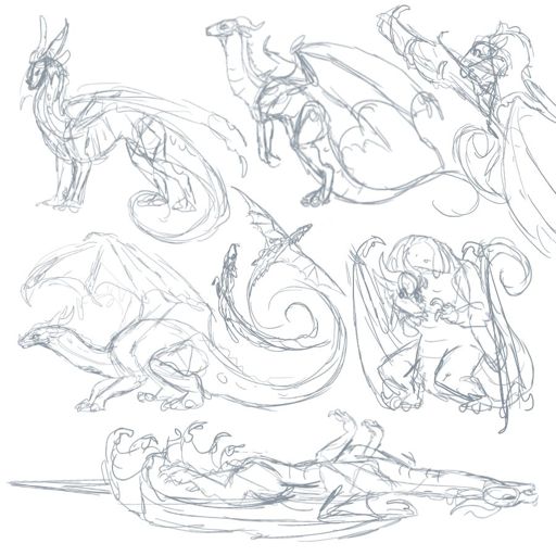 Quick Rainwing sketches | Wings Of Fire Amino