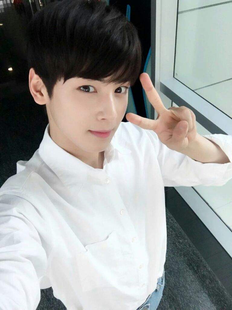 Chan Eun Woo | Wiki | Universe Idol Rol Amino