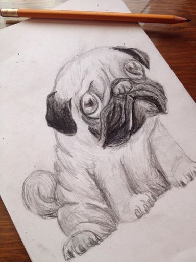 Pug | •Arte Amino• Amino