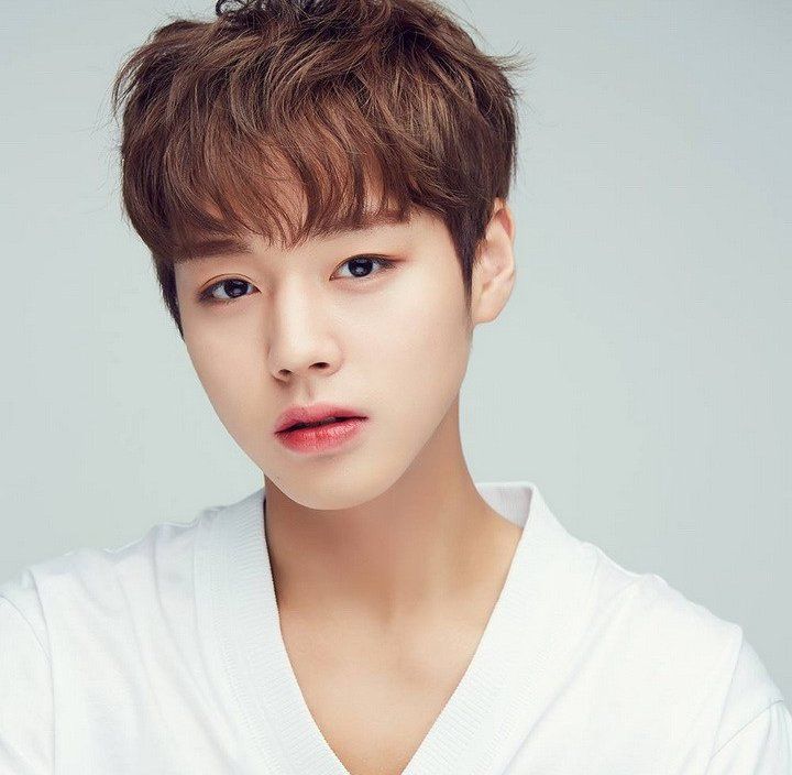 Wanna One Park Jihoon love for Taehyung | ARMY's Amino