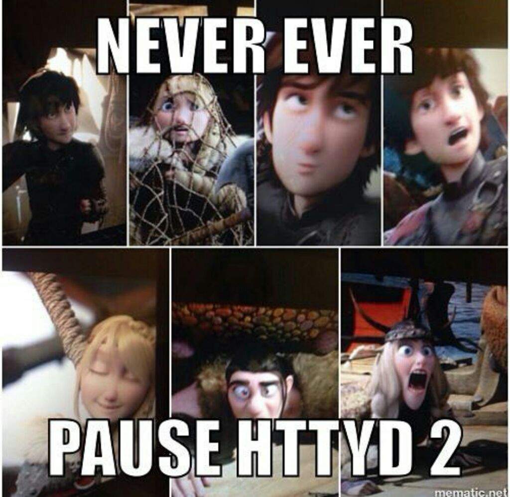 HTTYD MEMES PART 2 | H.T.T.Y.D Amino