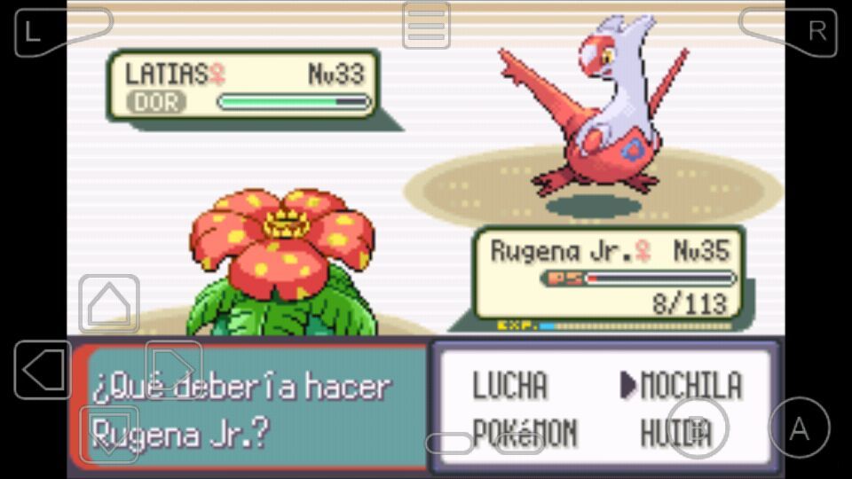 POKÉMON ESMERALDA RANDOMLOCKE Ep. 5 El Mejor retorno •Pokémon• En Español Amino POKÉMON ESMERALDA RANDOMLOCKE Ep. 5 El Mejor retorno •Pokémon• En Español Amino