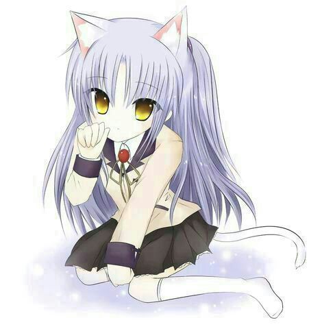 Chicas con oregas de gato | Wiki | •Anime• Amino