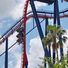 amino-Coasters’n’stuff-4ff03899