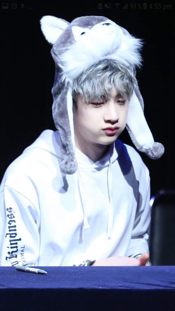 Bang Chan Stray Kids Amino