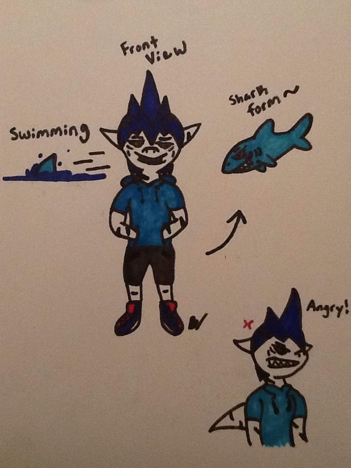 Sharkling Ideas | Splatoon Amino