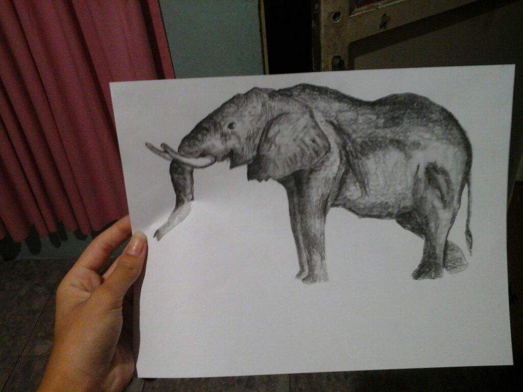 ¿Como aprender a dibujar un animal a lápiz? | Artes Y Pinturas... Amino